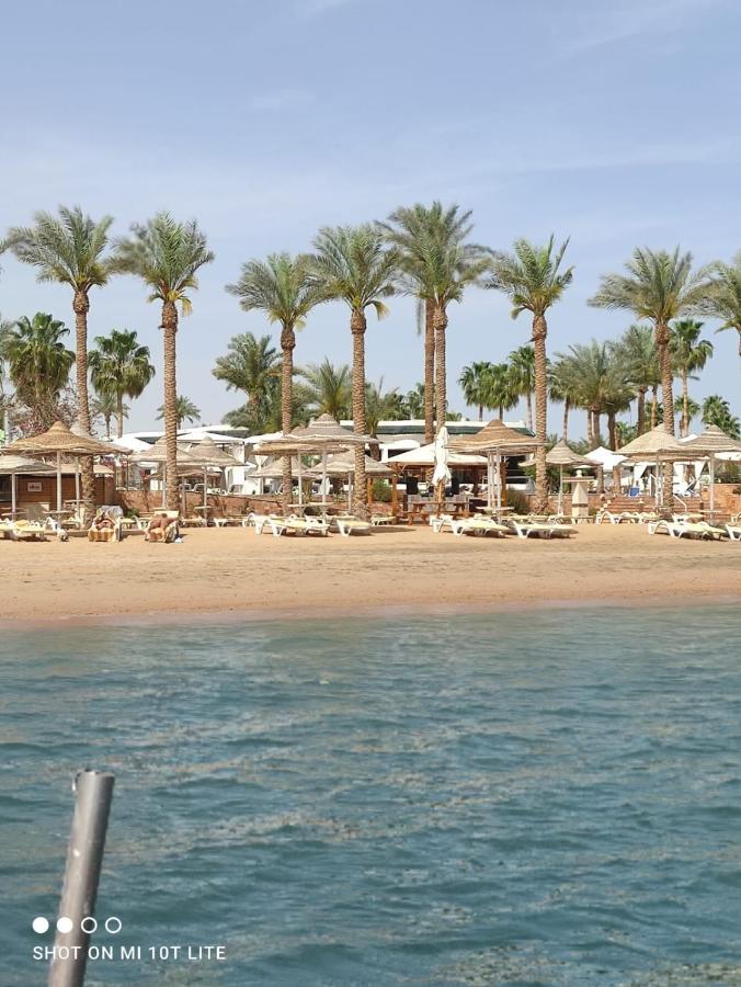 Seti Sharm Palm Beach Resort Families And Couples Only Exterior photo