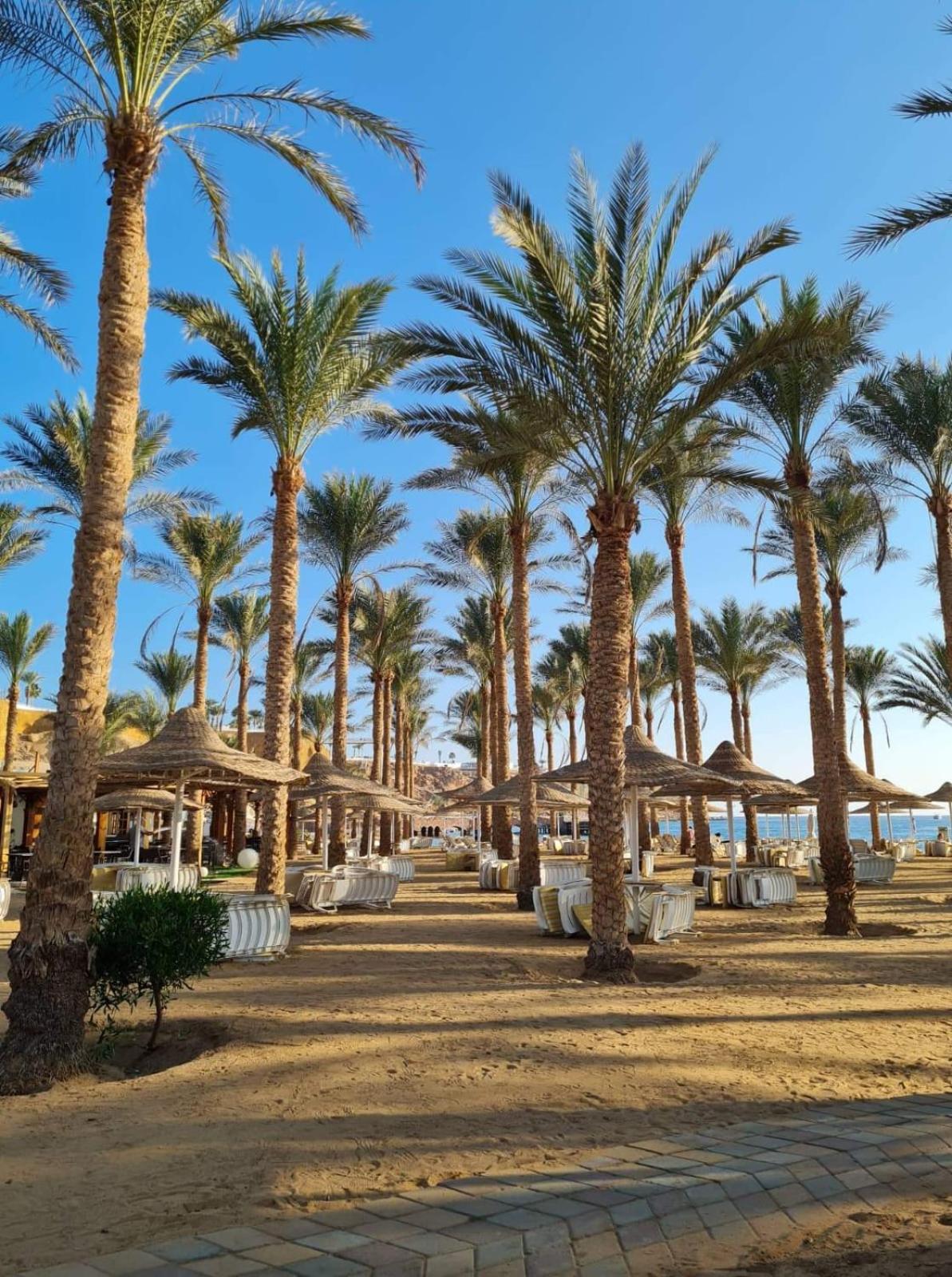 Seti Sharm Palm Beach Resort Families And Couples Only Exterior photo